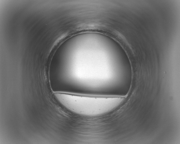 X0000067461218200604070918