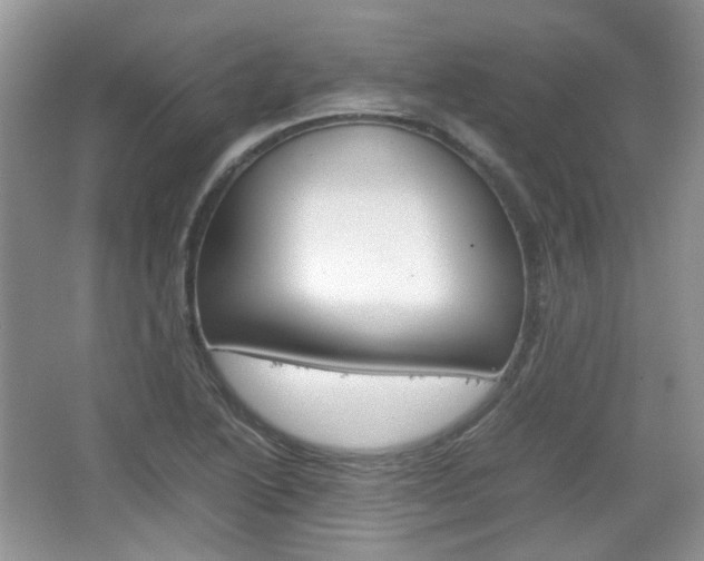 X0000067461222200604070918