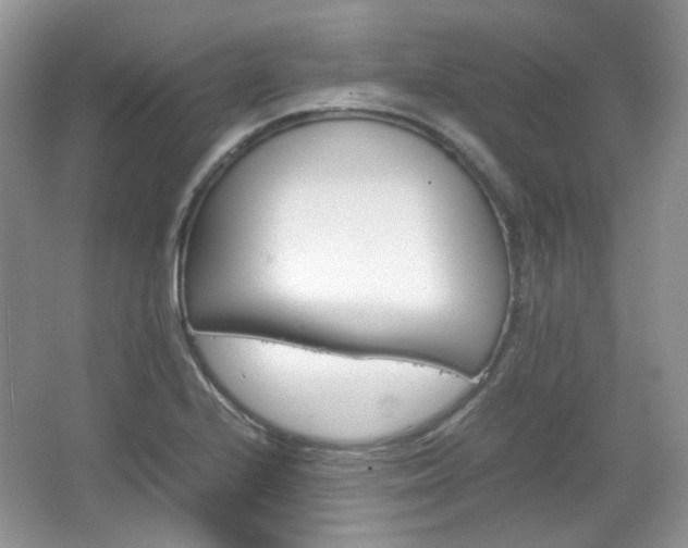 X0000067461224200604070918
