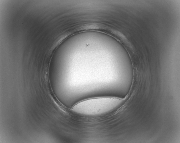 X0000067461225200604070918