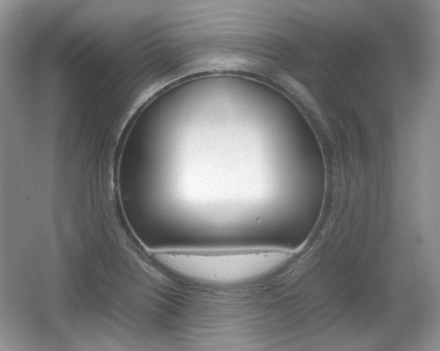 X0000067461226200604070918