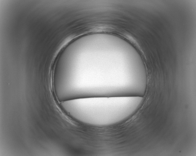 X0000067461227200604070918