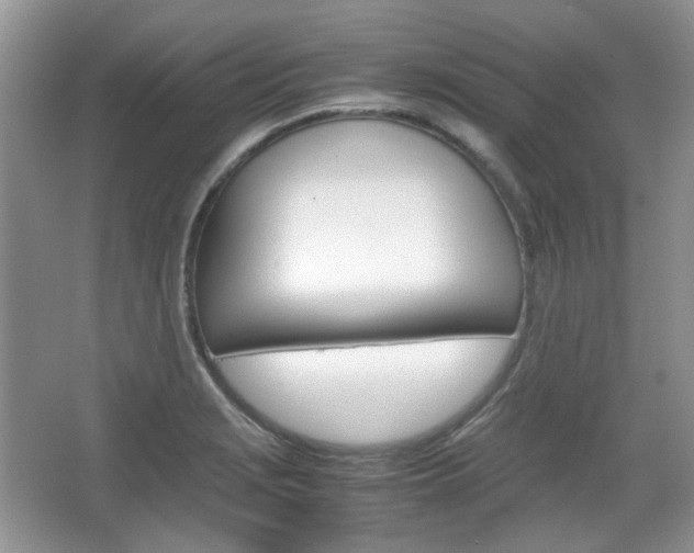 X0000067461229200604070918