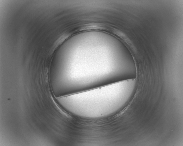X0000067461233200604070918