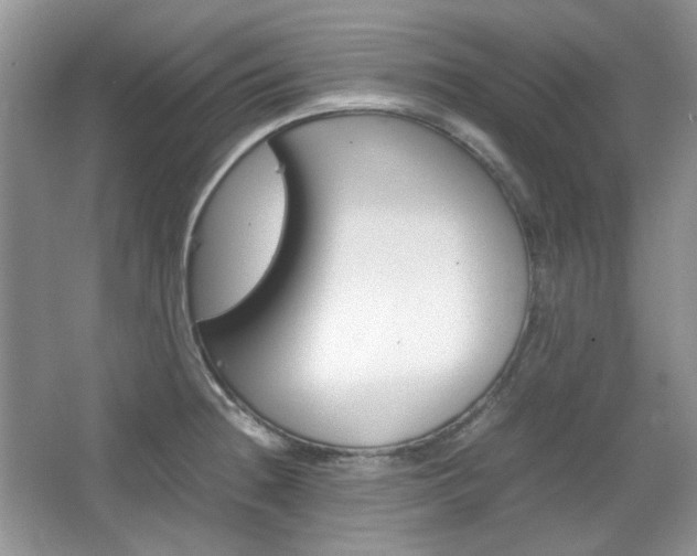 X0000067461236200604070918