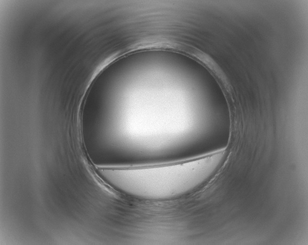 X0000067461242200604070918