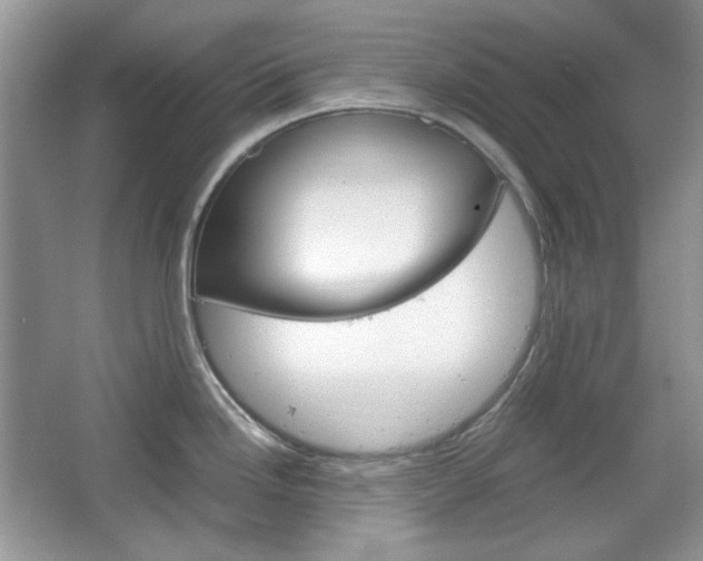 X0000067461246200604070918