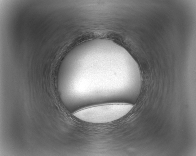 X0000067461249200604070918