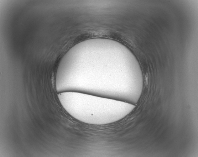 X0000067461251200604070918