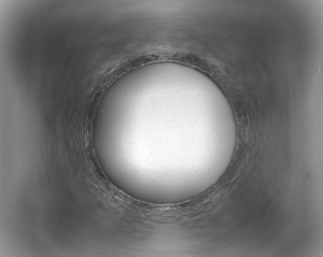X0000067461253200604070917