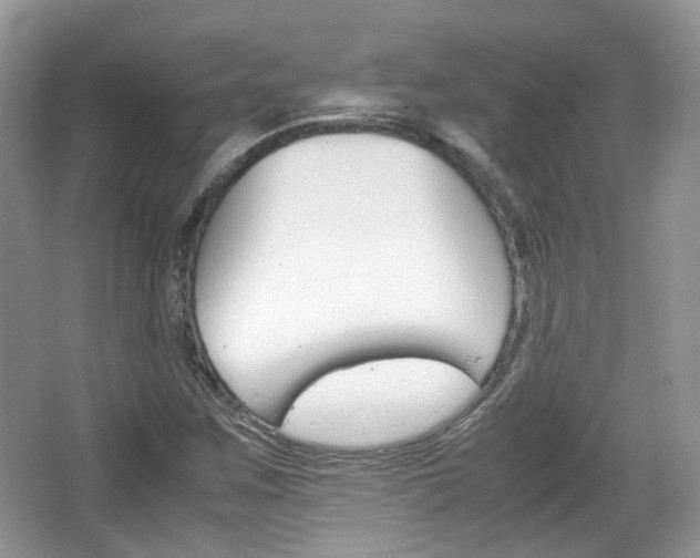 X0000067461259200604070917