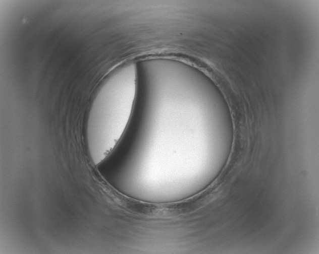 X0000067461265200604070917