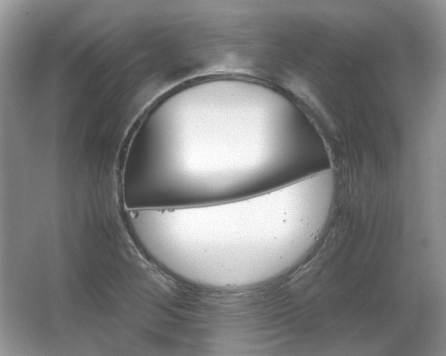 X0000067461268200604070917