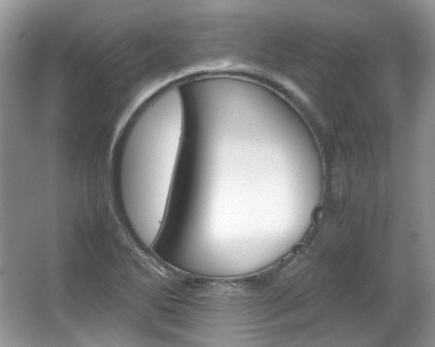 X0000067461270200604070917
