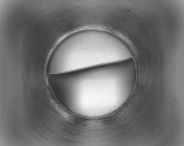 X0000067461272200604070917