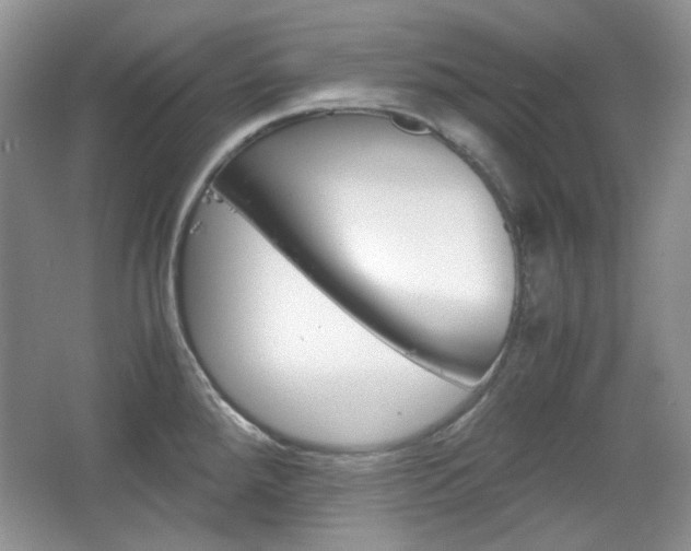 X0000067461288200604070917