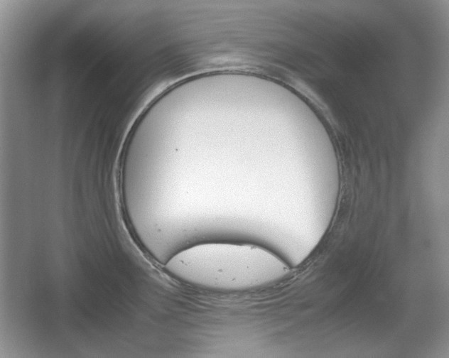 X0000067461291200604070917