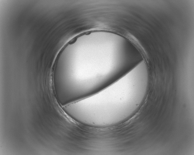 X0000067461292200604070917