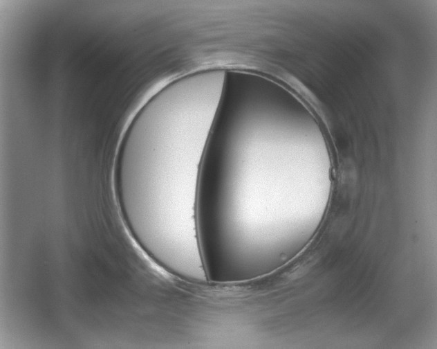 X0000067461293200604070917