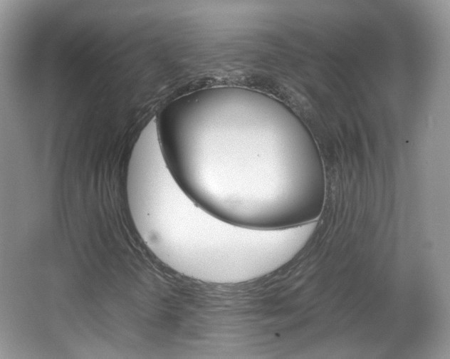 X0000067461298200604070916