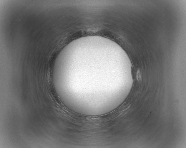 X0000067461299200604070916