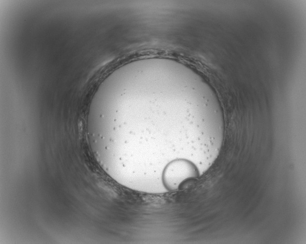 X0000067461302200604070916