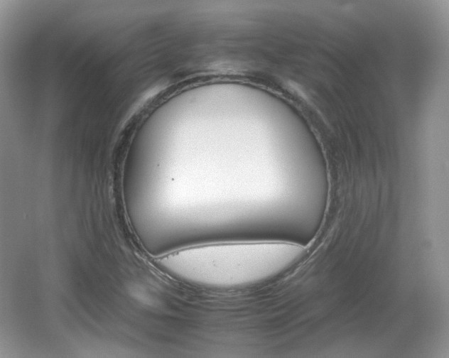 X0000067461307200604070916