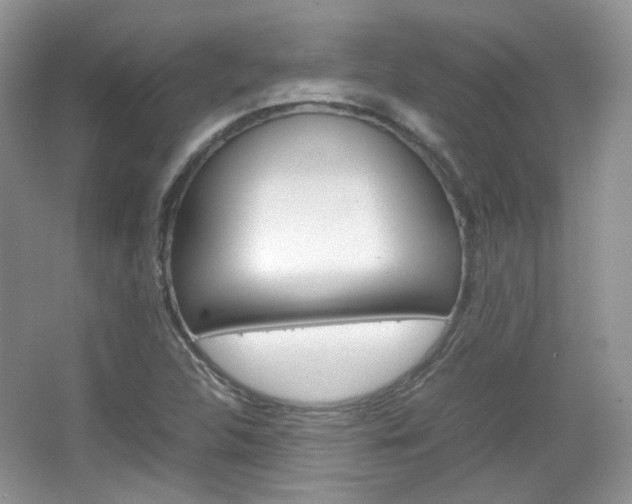 X0000067461312200604070916