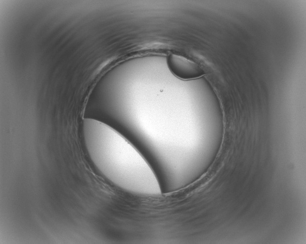 X0000067461313200604070916