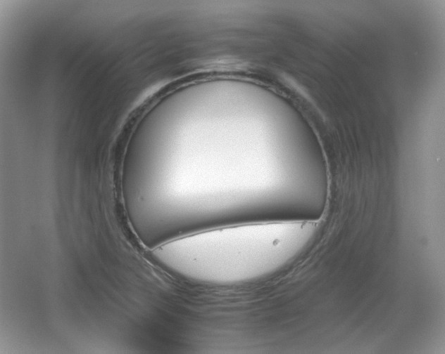 X0000067461315200604070916