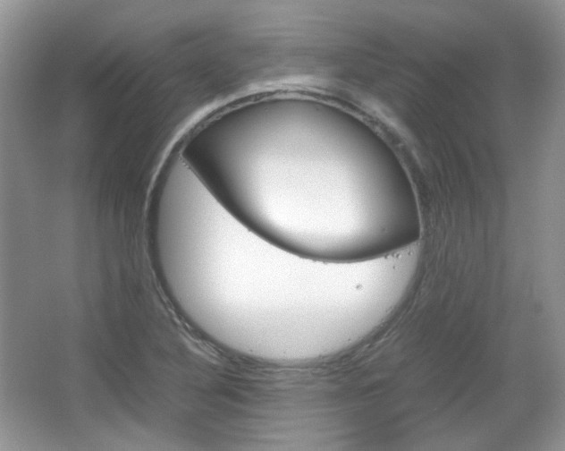 X0000067461316200604070916