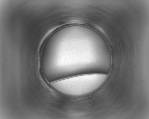 X0000067461323200604070916