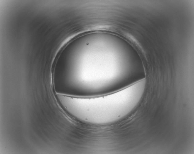 X0000067461324200604070916