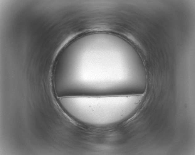 X0000067461325200604070916