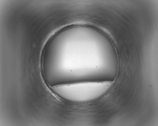 X0000067461327200604070916