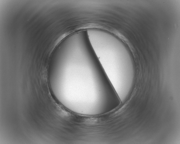 X0000067461329200604070916