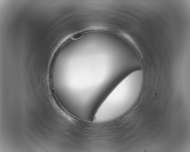 X0000067461331200604070917