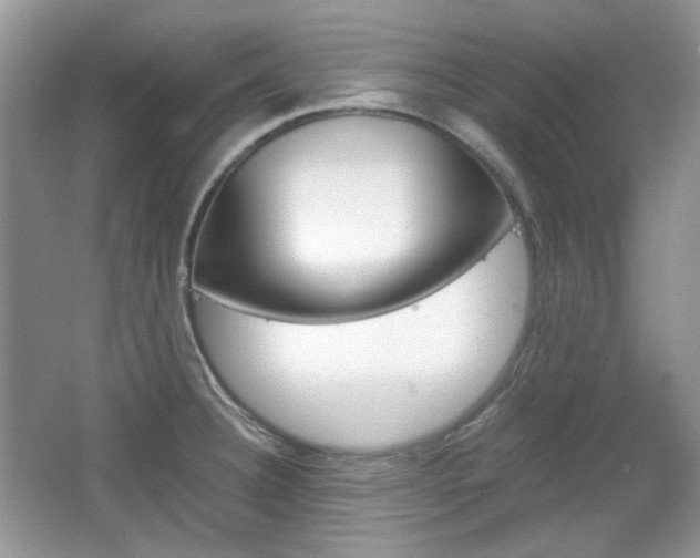 X0000067461332200604070917