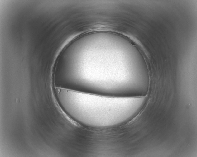 X0000067461333200604070917