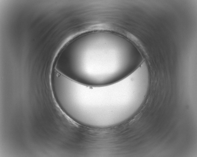 X0000067461334200604070917