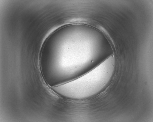 X0000067461336200604070917