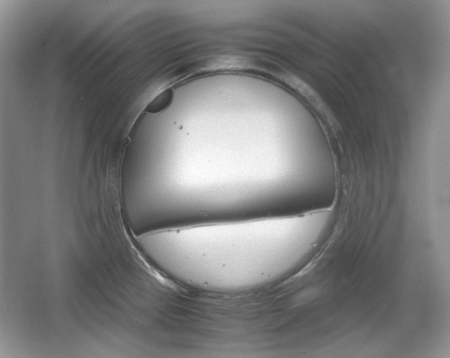 X0000067461337200604070917