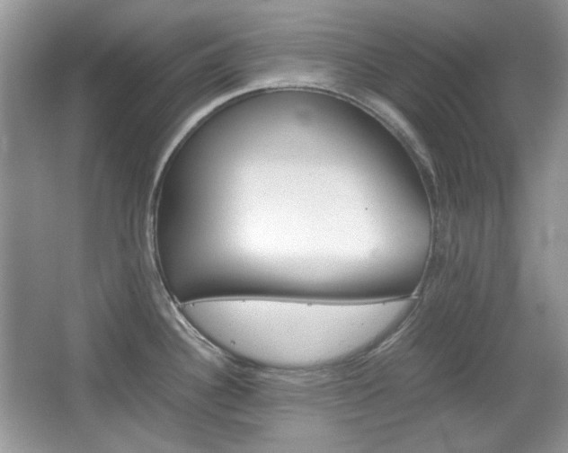 X0000067461340200604070917
