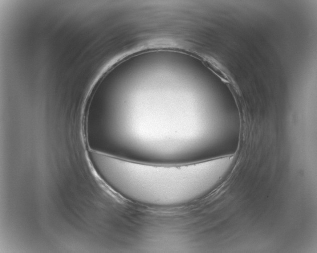 X0000067461342200604070917