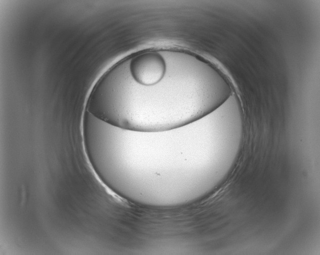 X0000067461343200604070917