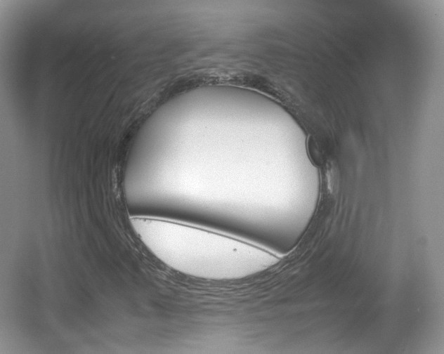 X0000067461347200604070916