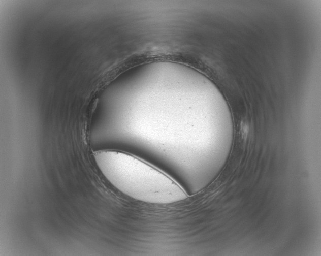 X0000067461348200604070916