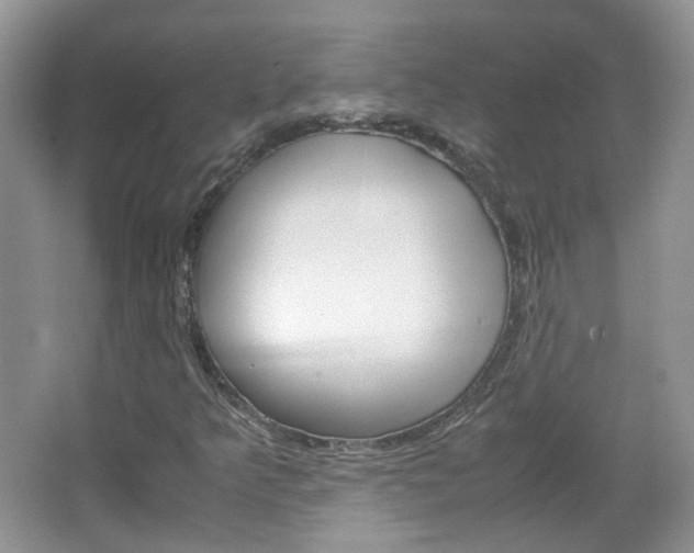 X0000067461349200604070916