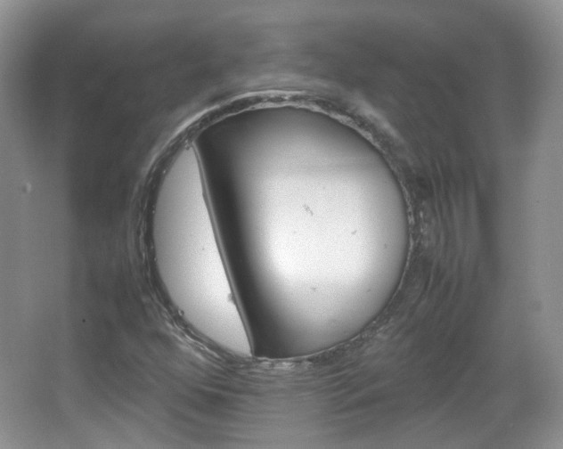 X0000067461352200604070916