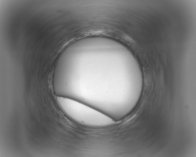 X0000067461353200604070916